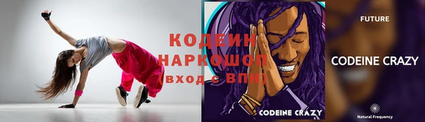 мдпв Кодинск