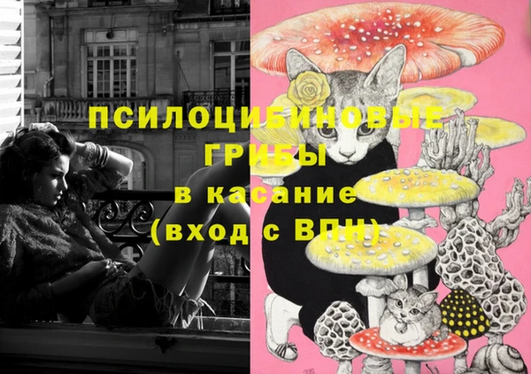 apvp Козловка