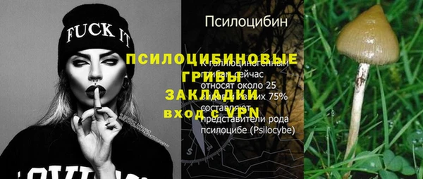 apvp Козловка
