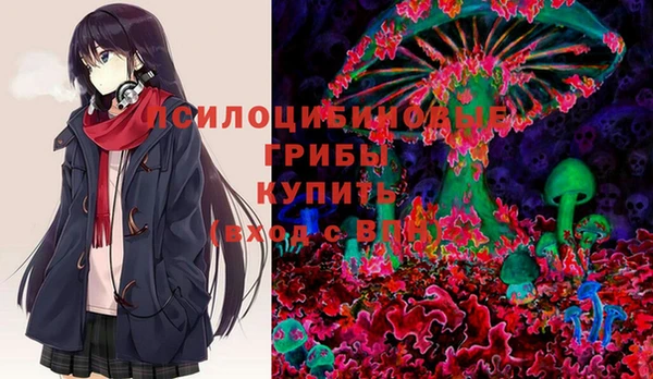 мдпв Кодинск